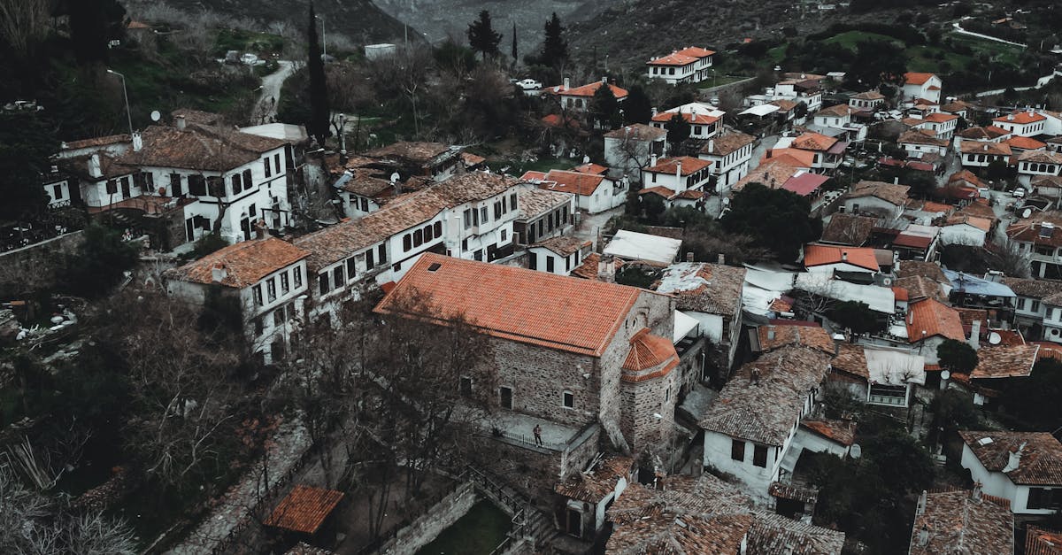 DIY vs Professional Roof Leak Repairs